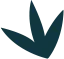 了解我们的每周更新 - 乐竞体育APP